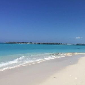 Meet your Posher, Nora